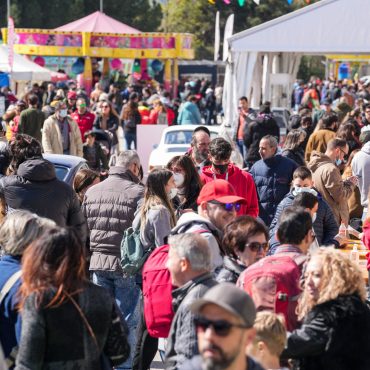 8c4b1ce7-aa9e-06b1-3ab5-66b5565e8c9d